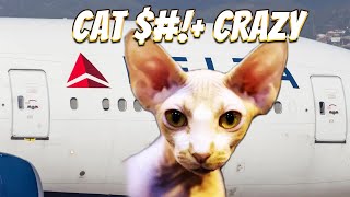 Woman Breastfeeding a Cat InFlight🤯😱 shorts aviation [upl. by Iaht]