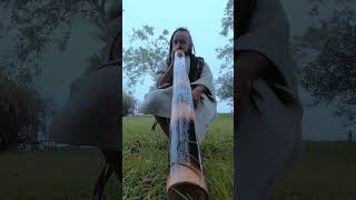 Powerful low didjeridoo sound [upl. by Dominic]