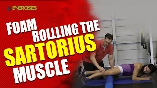 5 Best Foam Roller Exercises for Calves [upl. by Oir]