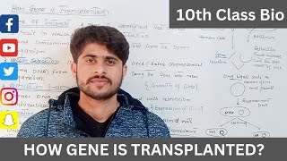 How Gene is Transplanted 10th ClassBasic Steps of Genetic Engineering and Biotechnology [upl. by Gilud]