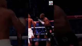 Joshua Overpowered by Dubois’ Decisive KO 🥊⚡✨ shorts sports boxing highlights knockout [upl. by Petes]