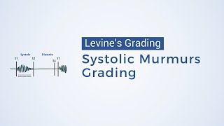 Grading of Systolic Murmurs  Levines Grading [upl. by Fatimah877]