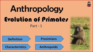 Evolution of Primates Part 1  UPSC  NET [upl. by Chipman734]