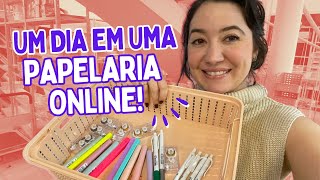 VLOG BASTIDORES REAIS DO ECOMMERCE PAPELARIA UNICÓRNIO SEPARAÇÃO DE PEDIDO RECEBER DE MERCADORIA [upl. by Natale]