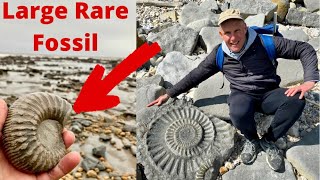 Fossil Hunting For Awesome Ammonites At Charmouth [upl. by Woodley]