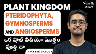 Pteridophyta  Plant Kingdom Class  NEET Plant Kingdom 2023  Ajay Sir  Vedantu NEET Telugu [upl. by Tebasile]