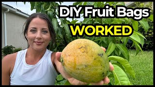 DIY Steel Mesh Fruit Bags Actually WORKED [upl. by Budde]