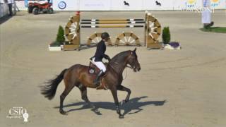 150cm Zoweja Krzysztof Ludwiczak CSIO5 Sopot – 10 06 2017 [upl. by Ahoufe]