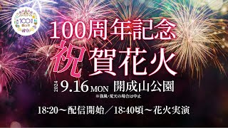 郡山市市制施行100周年記念祝賀花火 [upl. by Rennoc433]