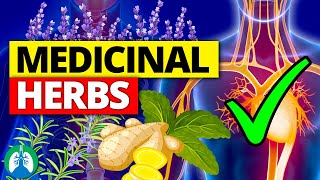 🌱Top 10 Most POWERFUL Medicinal Herbs Backed by Science [upl. by Nitsirt414]