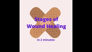 Stages of Wound Healing in 2 mins [upl. by Sibell]