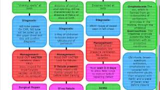 USMLE ALGORITHMS PEDIATRIC SURGERY AT BIRTH [upl. by Yllut]