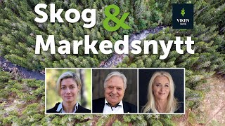 Skog amp Markedsnytt september 2024 [upl. by Initof]