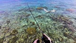 10 Casts 10 Fish  Maldives Fishing For Grouper [upl. by Nohsyar]