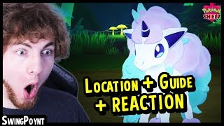 Galar Ponyta  Rapidash Guide and REACTION  Pokemon Shield Exclusive Pokemon Sword amp Shield [upl. by Akinwahs]