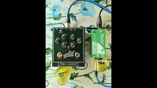 Aguilar Tone Hammer preamp sound test [upl. by Tomkiel]