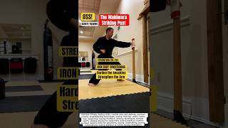 KARATE Training Makiwara Benefit  IRON BODY TRAINING [upl. by Mufinella]