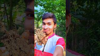 হলদির দক্কা 😲🥰 minivolgs vlogs [upl. by Sualokcin]