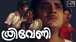 Thriveni Malayalam Full Movie  Sathyan Prem Nazir Sharadha [upl. by Arakaj]