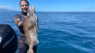 Wettie TV  SPEARFISHING Great Barrier ISLAND  SHARKS Snapper and Boarfish [upl. by Ripp]