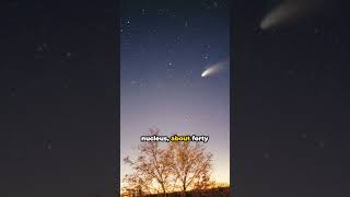 HaleBopp The Great Comets Journey crixus space comet [upl. by Yelrah]