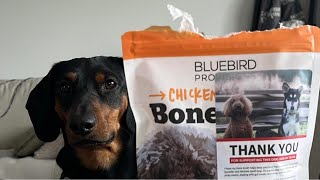 Bone Broth for Dogs Review [upl. by Kiryt]