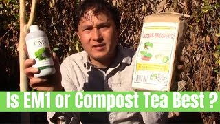 Is Compost Tea or EM1 Best For Beneficial Microbes for Your Garden [upl. by Bonita366]