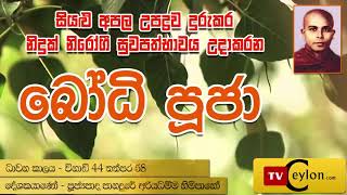 Bodhi Puja බෝධි පුජා Panadure Ariyadhamma Thero [upl. by Odnalo]