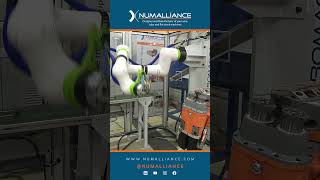 Numalliance CNC Wire Bender Robomac eMotion with Cobot Integration [upl. by Hessney393]