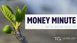 TRG Money Minute  Could we be witnessing the first sign of green shoots in South Africa [upl. by Atinhoj]