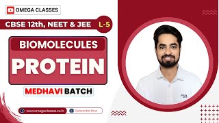 PROTEIN  AMINO ACID  BIOMOLECULES  BIOLOGY CLASS 11  CBSE NEET  OMEGA CLASSES [upl. by Jaime]