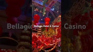 Bellagio Hotel amp Casino las Vegas bellagioconservatory vegasisfun hotel travelshortsvideo [upl. by Hara]