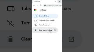 How to Delete Google Chrome History In PC or Laptop  2024 [upl. by Peskoff31]