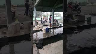 Penjualan ikan di pasar Garongan [upl. by Rene]