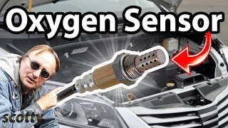 How to Replace an Oxygen Sensor in Your Car Air Fuel Ratio Sensor [upl. by Highams248]