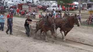 Horse Pull Competition Full Pulls 7000 and 7500 pounds Port Perry Fair 2014 [upl. by Alikee]