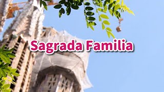 Movimientos de las obras de la Basílica de la Sagrada Familia 13 mayo 2023 [upl. by Honna]