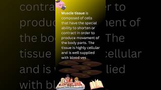 Muscle tissue muscle tissue definition muscletissue muscle tissue biology youtubeshorts [upl. by Aileda]