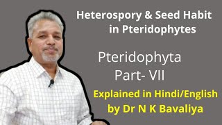 Heterospory and Seed Habit in Pteridophytes [upl. by Colier]