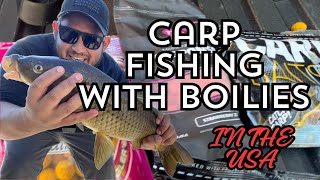 DO BOILIES REALLY WORK BEST CARP BAIT IN THE WORLD [upl. by Aryajay]