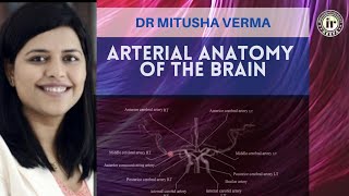 ARTERIAL ANATOMY OF THE BRAIN  DR MITUSHA VERMA  Radioanatomy Session  MCA PCA ACA ICA [upl. by Irak]