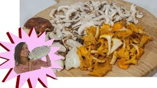 Pulire i Funghi  Ecco come Fare  Le Ricette di Alice [upl. by Salchunas]