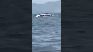 Goa Boat Accident 34killed 64missing42recuse boat boating accidentalinventions goa shorts [upl. by Stefanie]