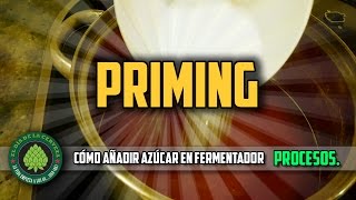 Cómo Hacer Cerveza Artesanal en Casa PRIMING Cómo añadir azúcar en el fermentador [upl. by Htedirem]