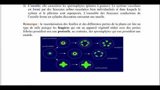 BIOLOGIE VEGETALE anatomie végétale 1 [upl. by Lehsreh]