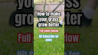 How to get greener grass lawntips lawncare lawn [upl. by Soane]