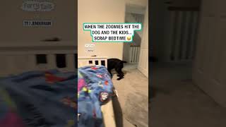 Bedtime is officially ruined 😂🐶 🎥 TikTok  jenderham [upl. by Yanaj450]