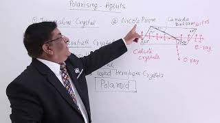 Class 12th – Polarising Agents  Wave Optics  Tutorials Point [upl. by Trilby]