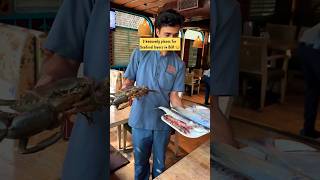 Top Seafood Restaurant In Bangalore Bangalore Food  Bangalore Cafes  Bengaluru [upl. by Okimuy]