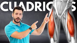 Los MEJORES EJERCICIOS para FORTALECER la RODILLA 🦵🏼 en Personas Mayores [upl. by Whiffen814]